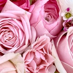 Meet your Posher, Alexis